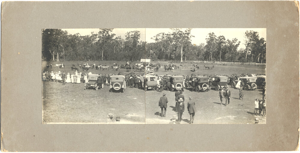 First Agricultural Show, 25 - 26 February 1914