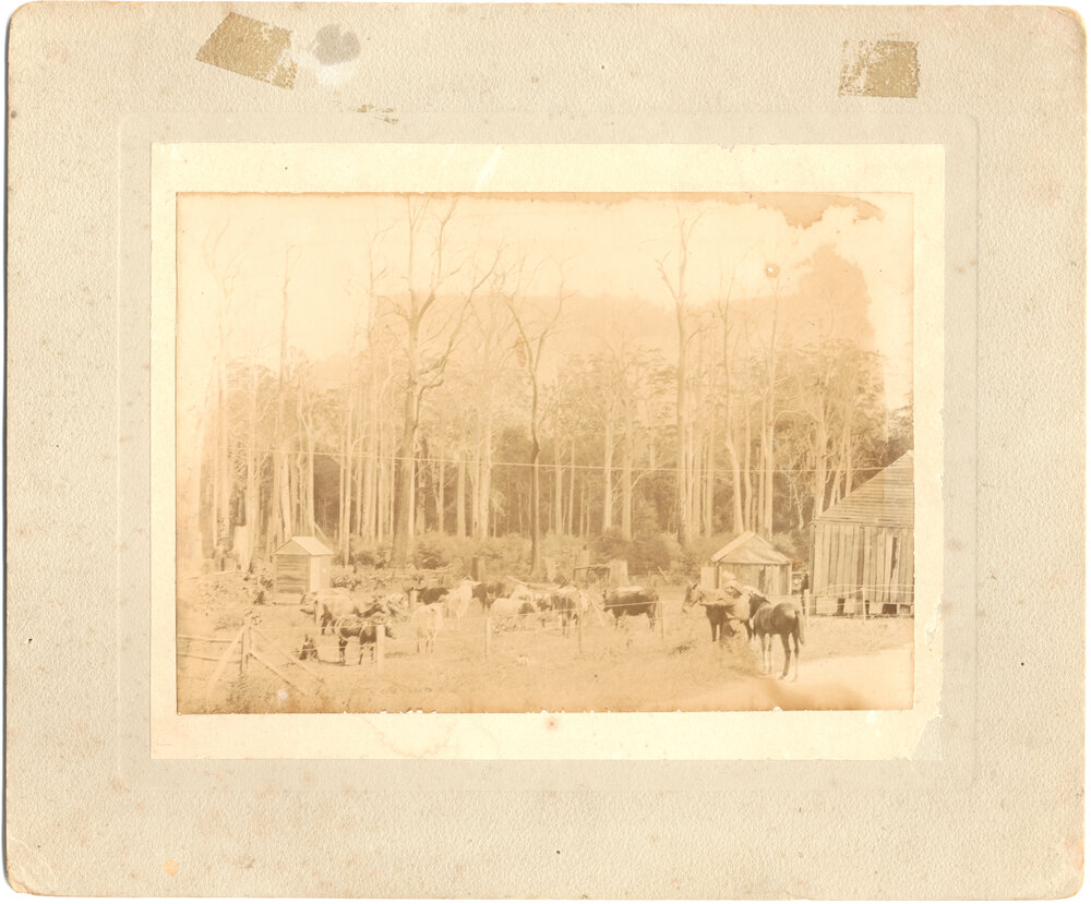 Fred Hoschke's farm, 1908