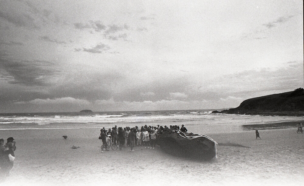 The "excrement" on Emerald Beach, late 1991