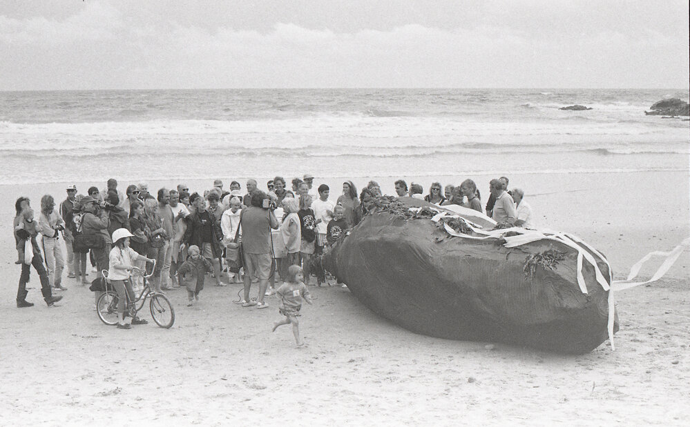 The "excrement" on Emerald Beach, late 1991