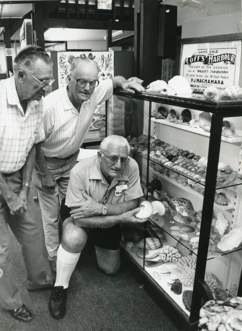 Volunteers admire a donated shell collection, 18 February 1992
