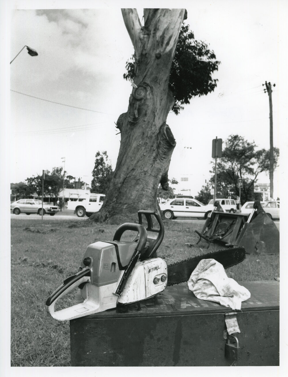 A blackbutt tree awaits its fate, 19 April 1993