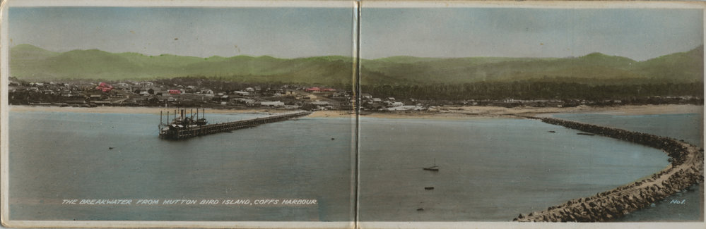 Township panorama and harbour from Muttonbird Island