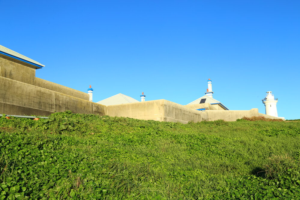 View across the rooftops, 6 May 2019