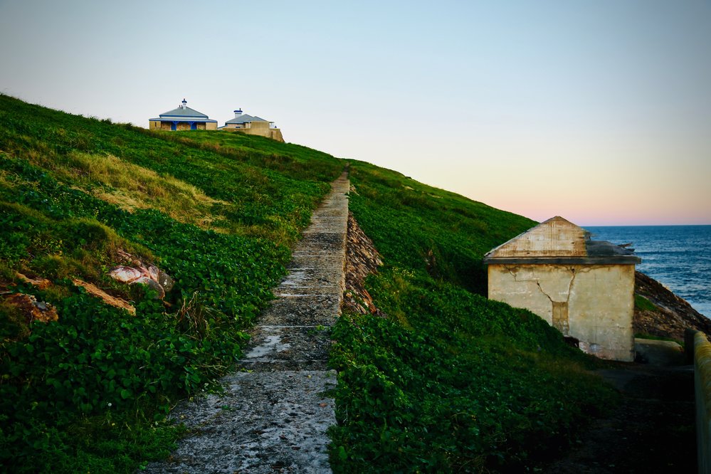 Pathway from the gantry to the cottages, 6 May 2019