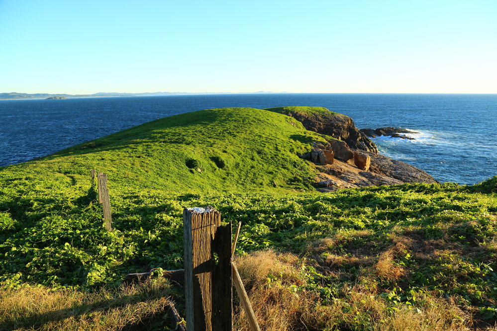 Uninhabited northern side of South Solitary Island, 8 May 2019