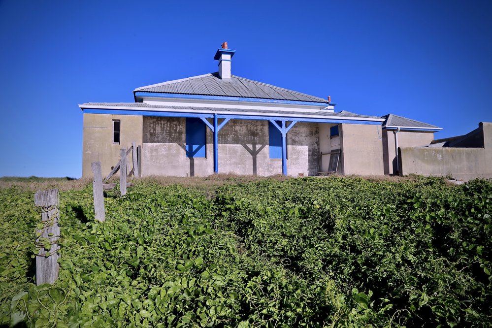 The northern cottage on South Solitary Island, 8 May 2019