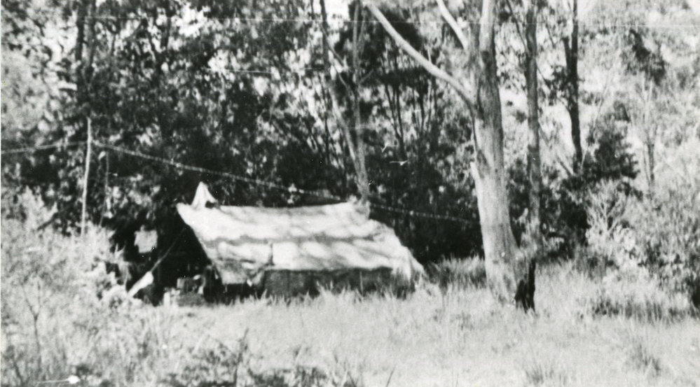 Hut off Curacoa Street near the Historic Cemetery, late 1940s
