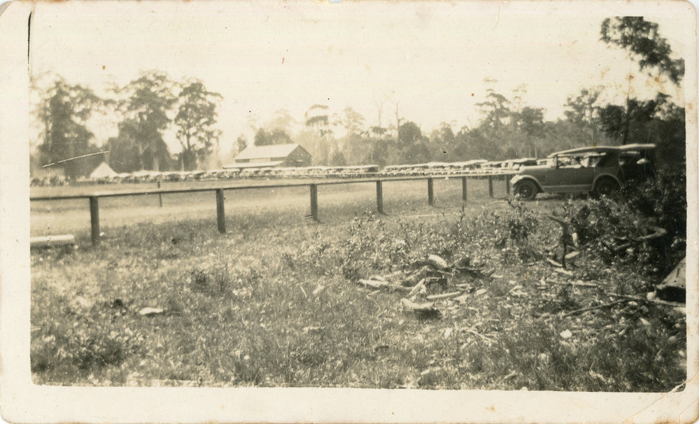 The showground ring, 1920s