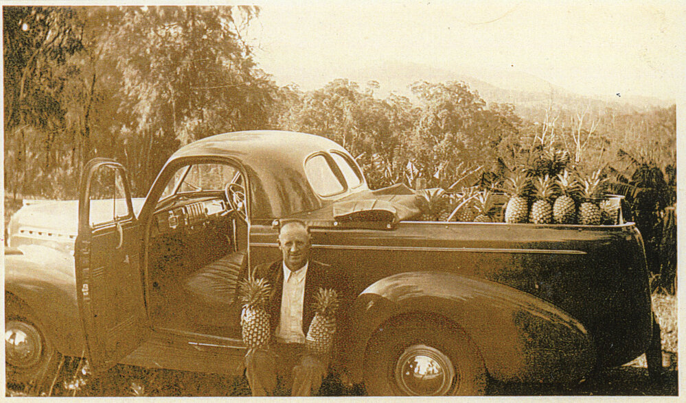 Arthur Gardiner at his pineapple farm
