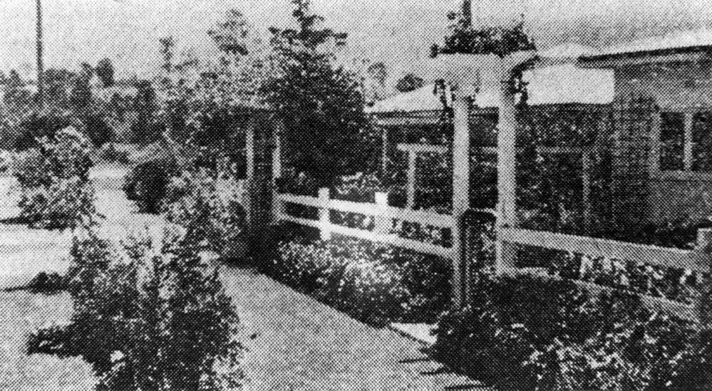 Gundagai Street homes and the footpath competition, October 1958