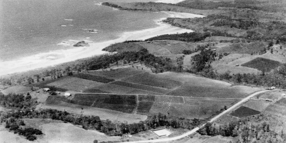 The Hill family estate, c.1954