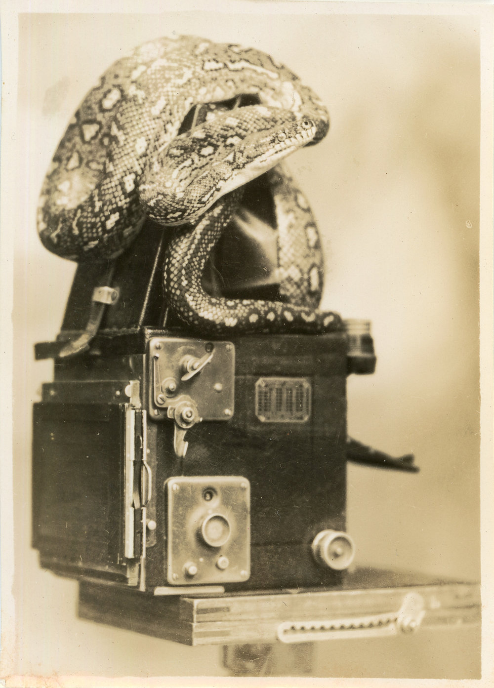 Photograph of Joe Blake on Marie Hunt's camera, c. 1950