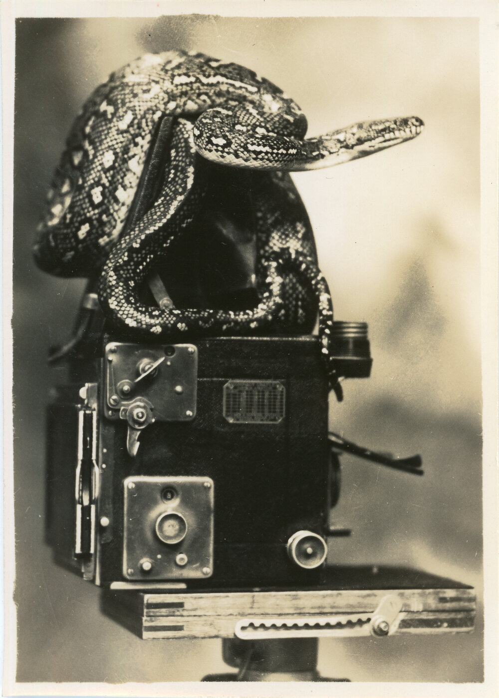 Photograph of Joe Blake on Marie Hunt's camera, c. 1950