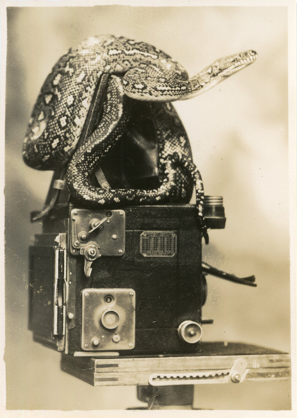 Photograph of Joe Blake on Marie Hunt's camera, c. 1950