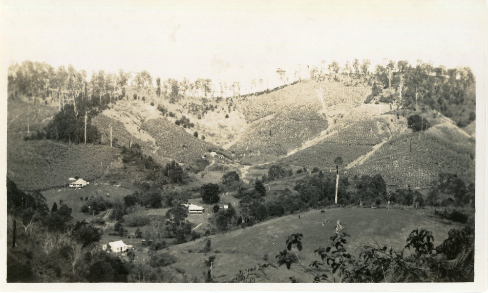 Photograph of View from Reservoir on Red Hill, 1950