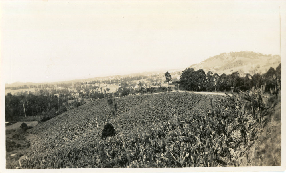 Photograph of Coffs Harbour from Reservoir Site on Red Hill, 1950