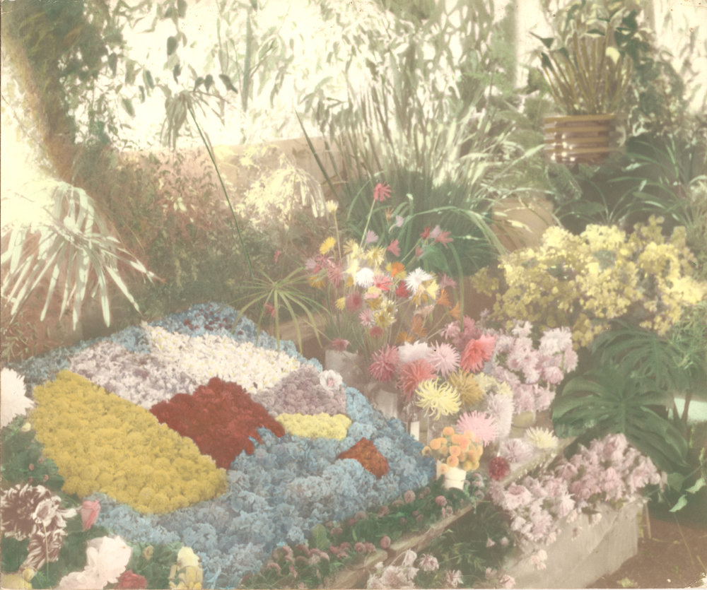 Amassed flower display