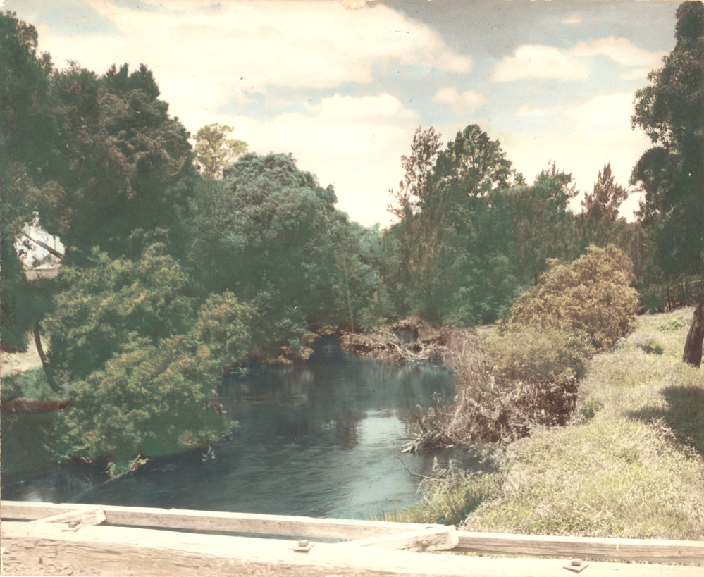 River view from a timber bridge