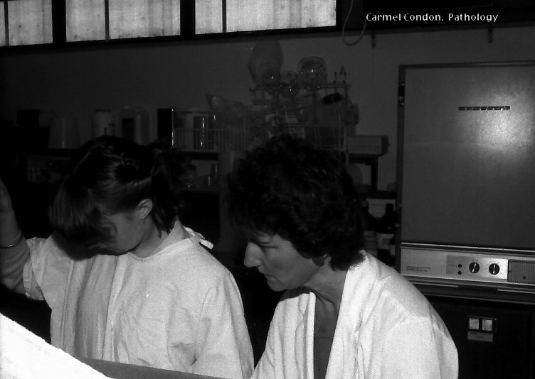 Pathologist Carmel Condon at the old Coffs Harbour Hospital