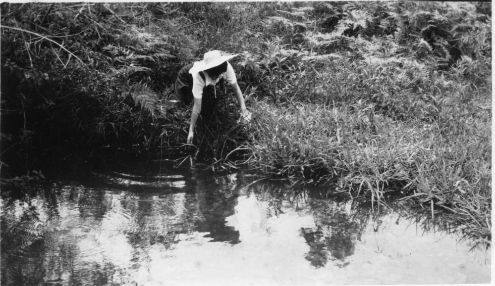Jessica Hill fills the billy in the creek, 1950