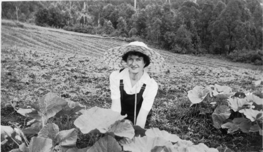 Jessica Hill in the pumpkin patch on Englands Road, 1950