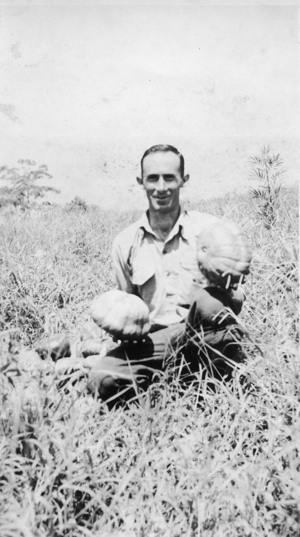 Chris Lewthwaite in the pumpkin patch on Englands Road, 1950