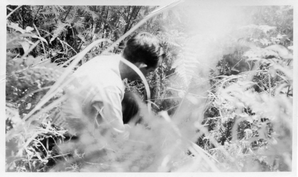 Chris Lewthwaite smoking out bees, 1950