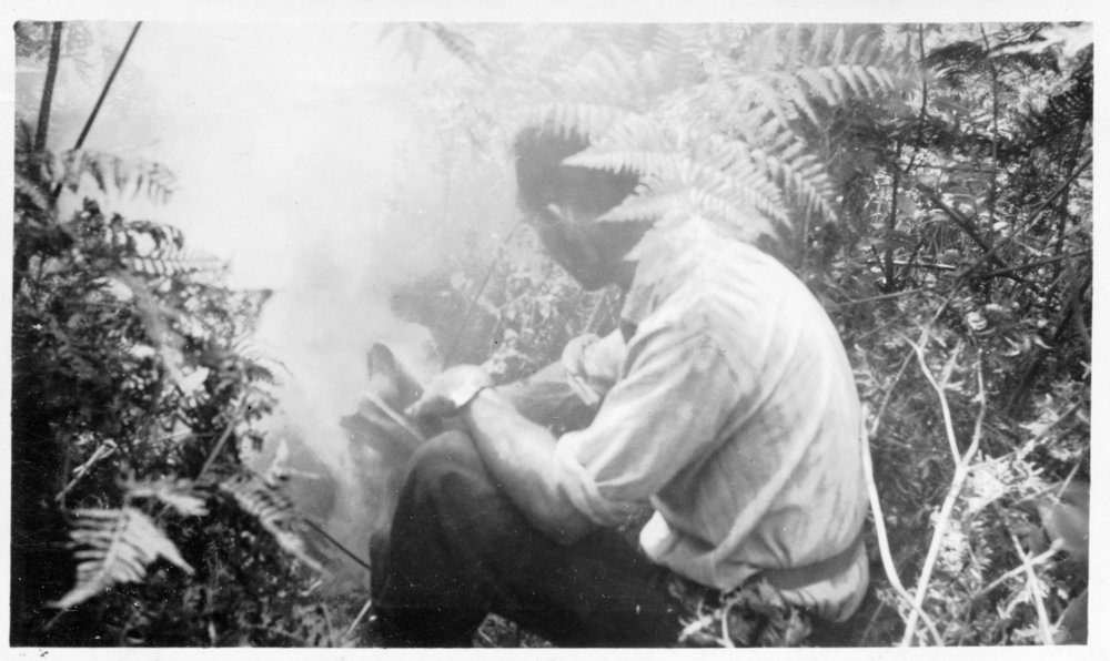 Chris Lewthwaite smoking out bees, 1950