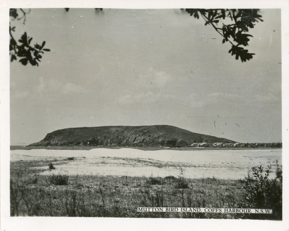 View of Mutton Bird Island from Park Beach