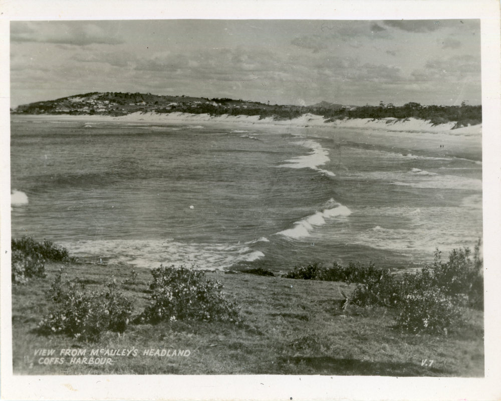 View of the Jetty township from Macauley's Headland