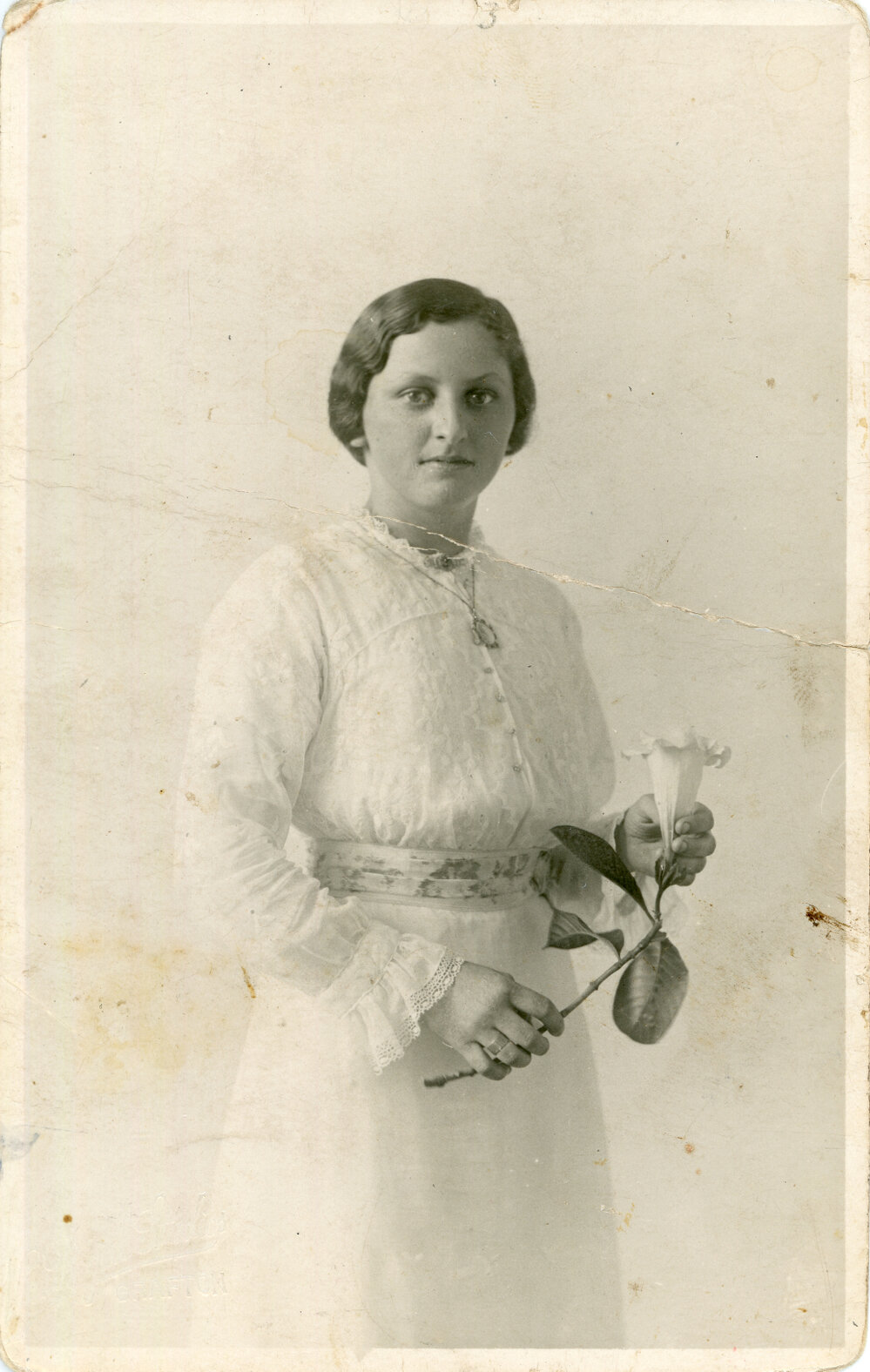 Bertie, c.1906