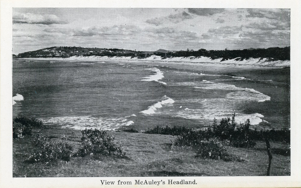 View of Jetty Town from Macauley's Headland
