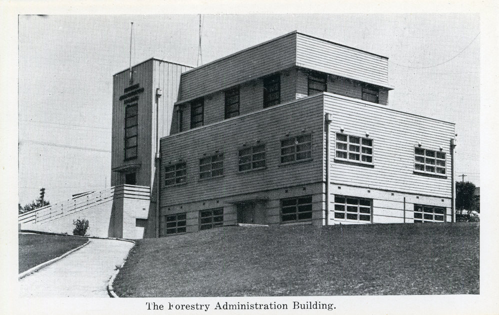 The Forestry building in Jetty Town