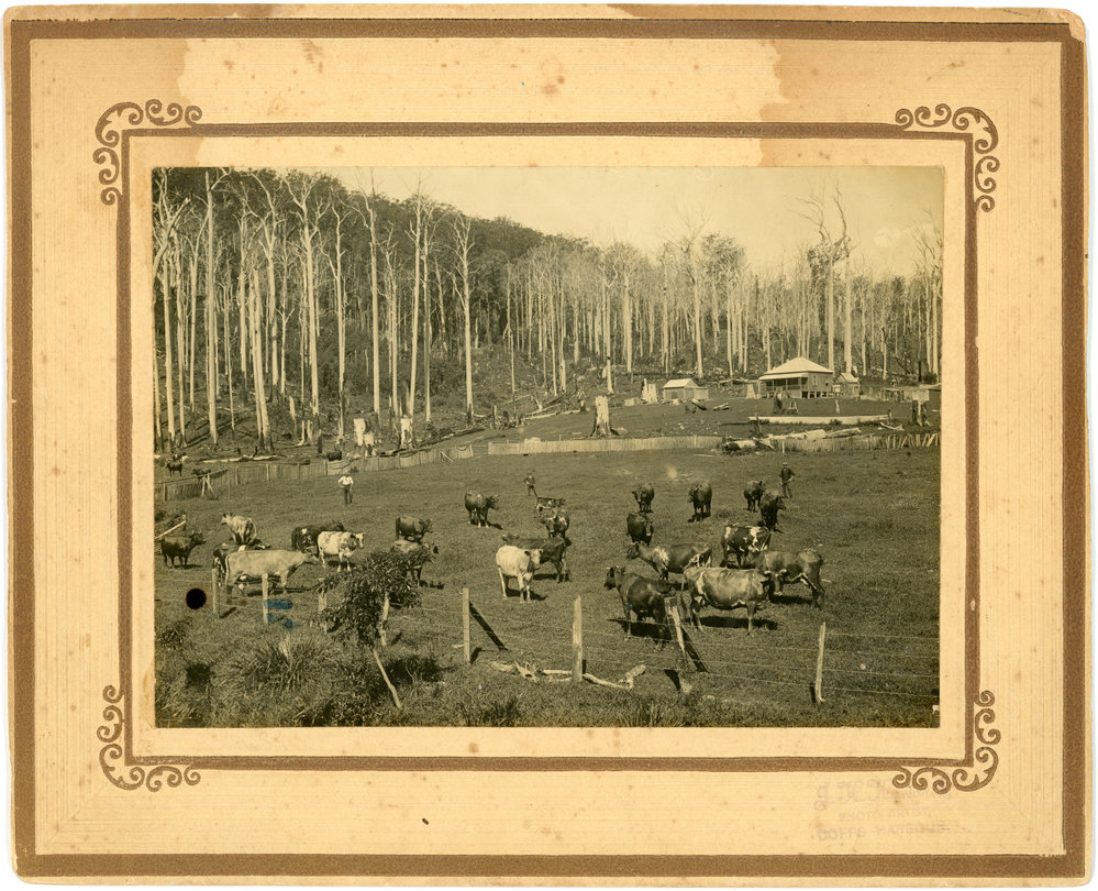 George Irvine's farm, 1912  