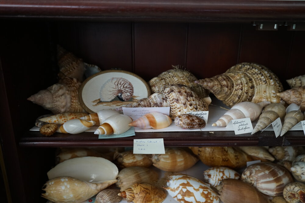 Shells