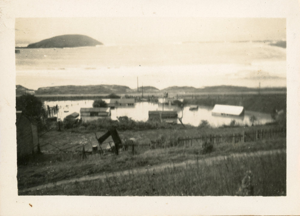 Flooded Coffs Harbour railway houses near the jetty after a cyclone, 25 June 1950 