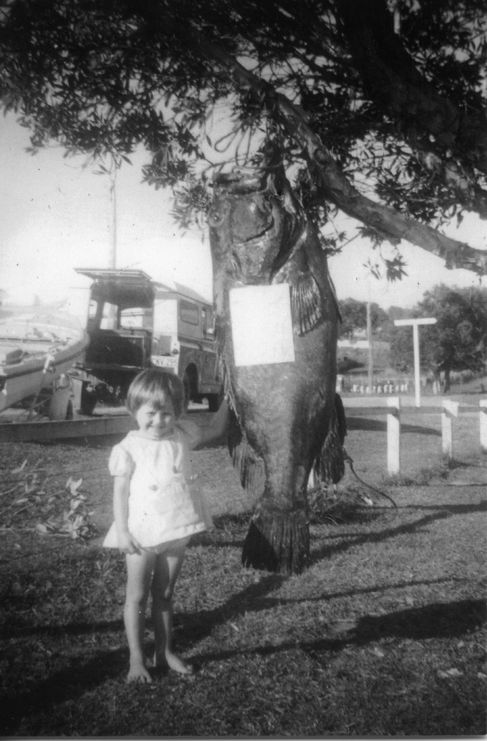 Kim Shephard with a black cod caught by Jim Worland, 1963