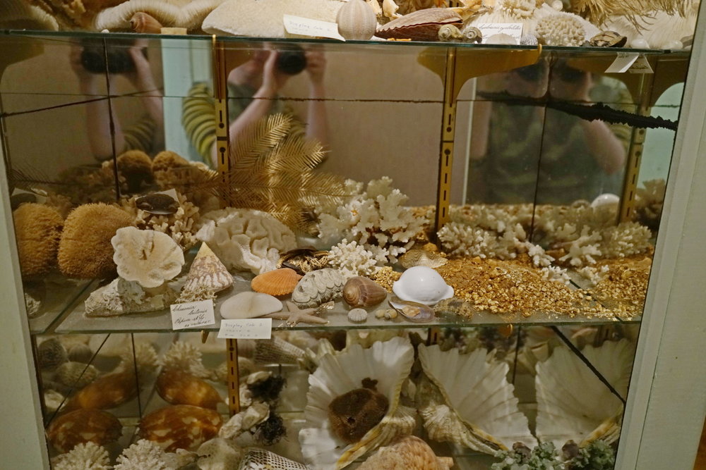 Shells