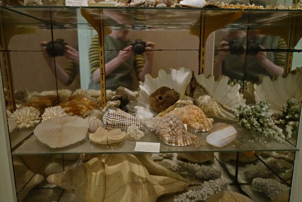 Shells