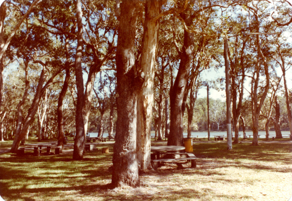 The Woolgoolga Lakeside Reserve area after vegetation clearance, c.1970