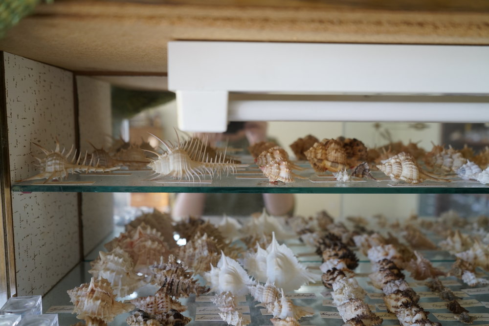 Shells