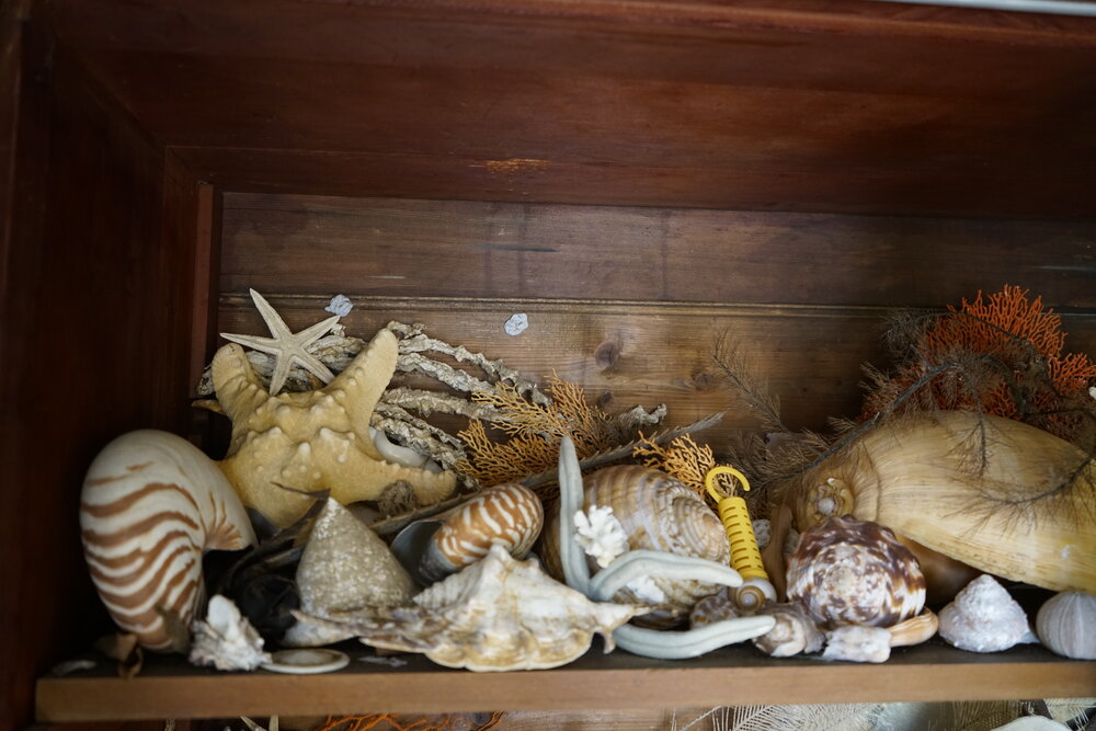 Shells