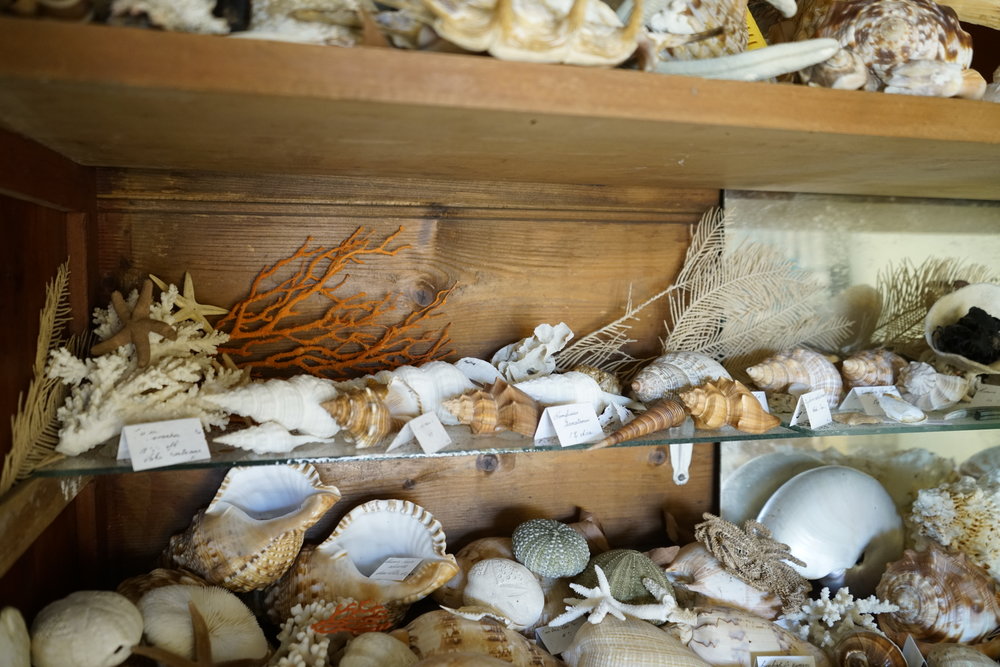 Shells