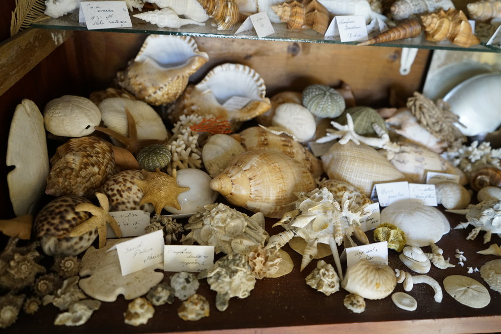 Shells