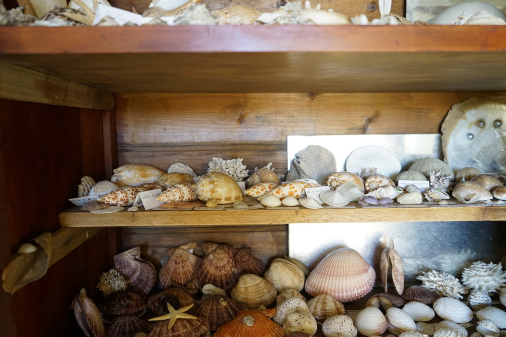 Shells
