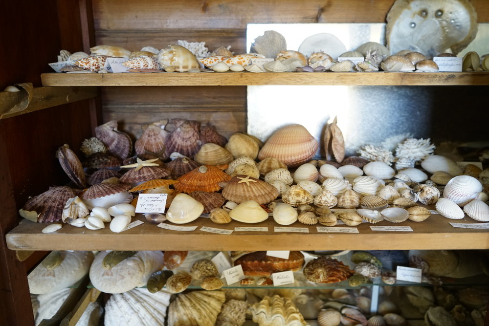Shells