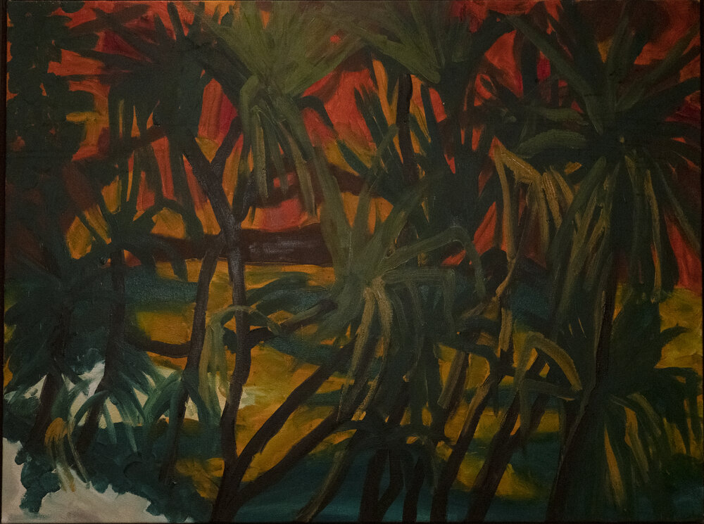 Pandanus, just before Twin Falls IV