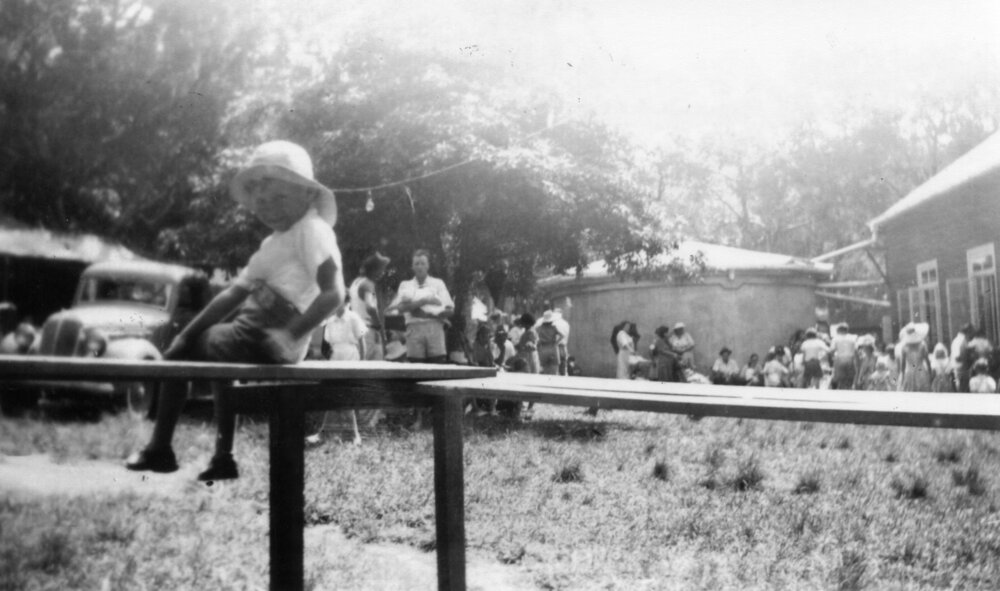 New Year's Day at Bonville Reserve, 1948