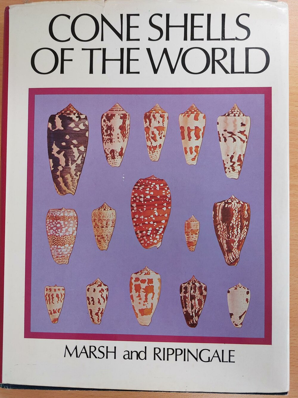 Cone Shells of the World